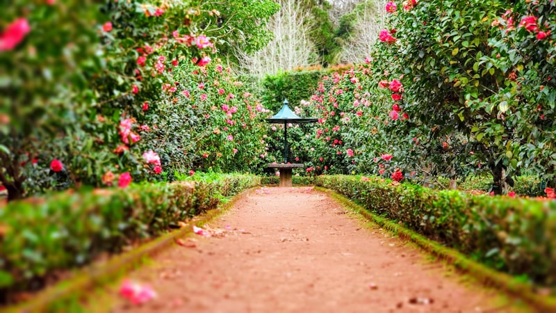 Lush green garden where residents enjoy fresh air and social activities